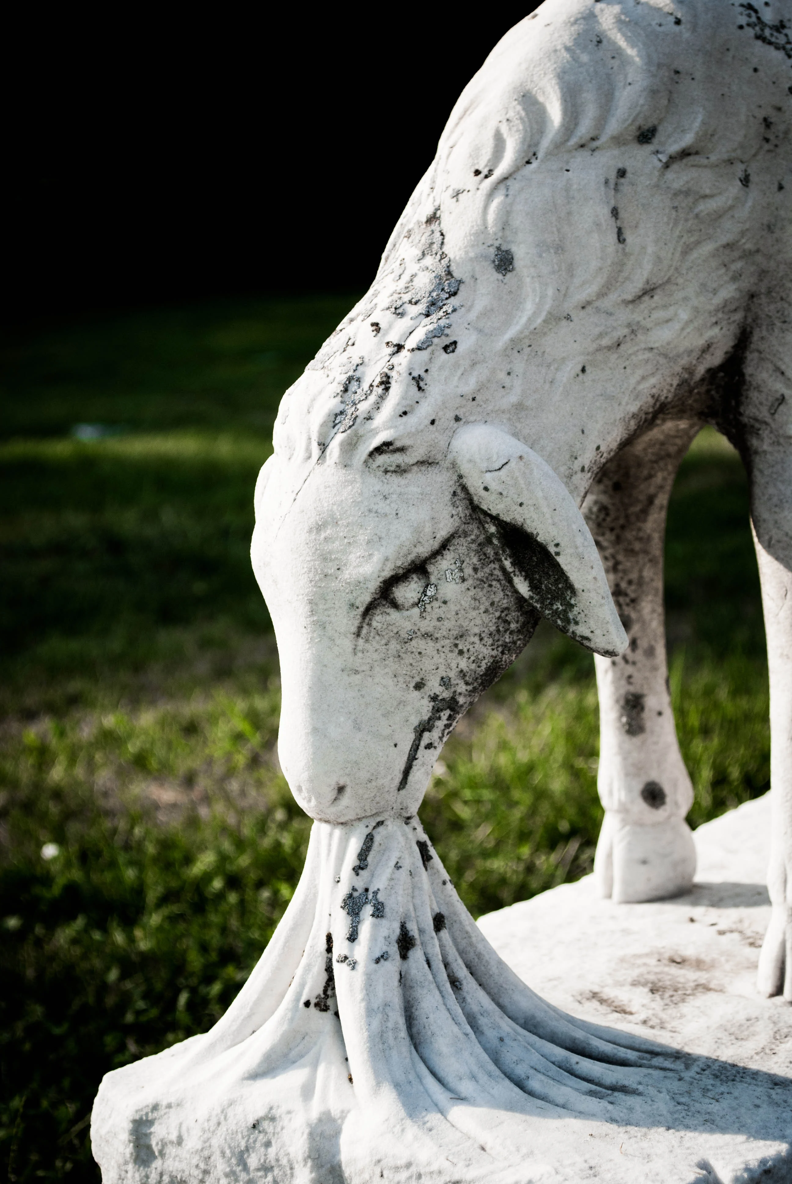 DSC_2041-1.jpg