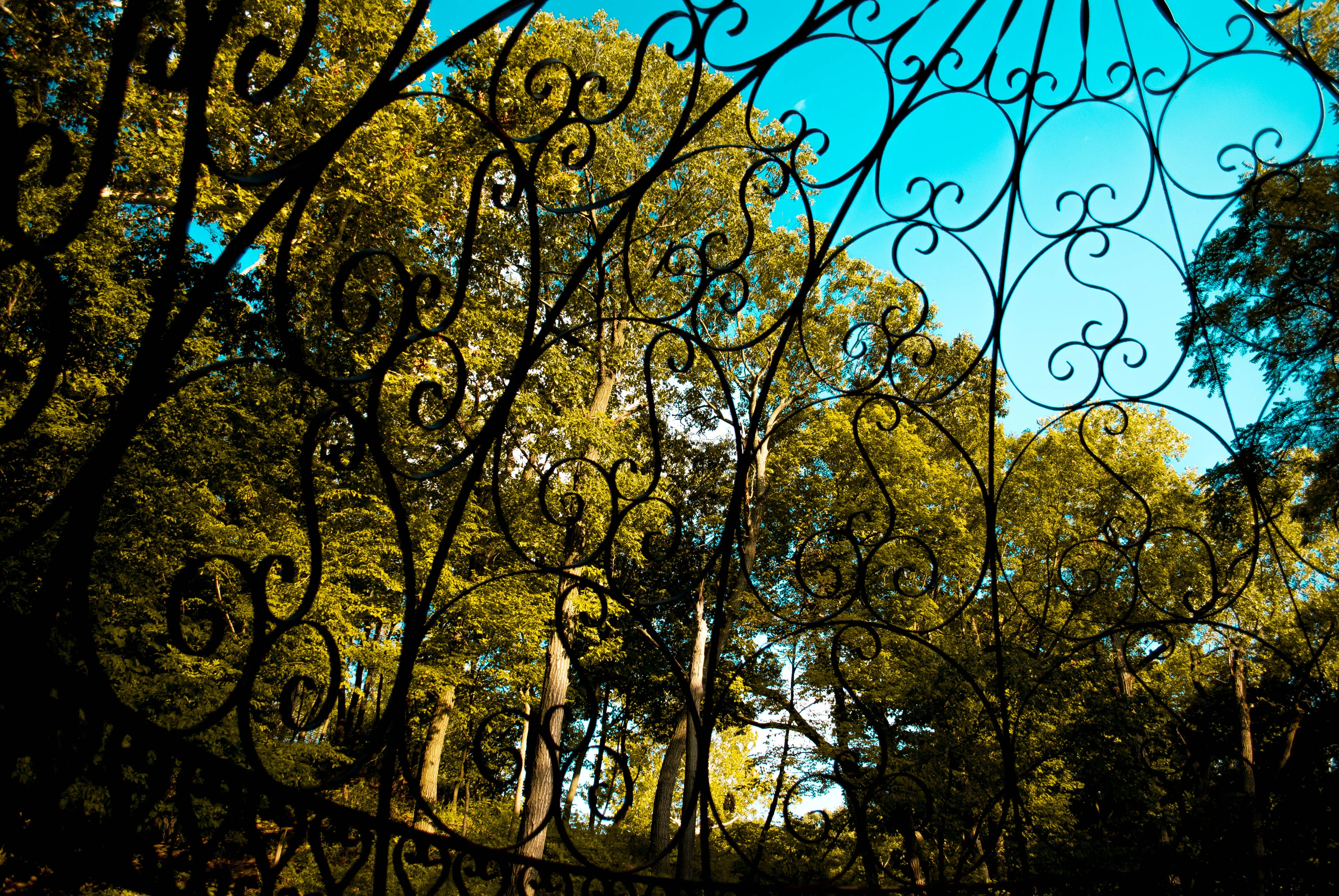 DSC_2061-1.jpg