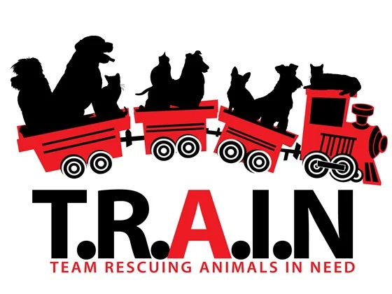 TRAIN