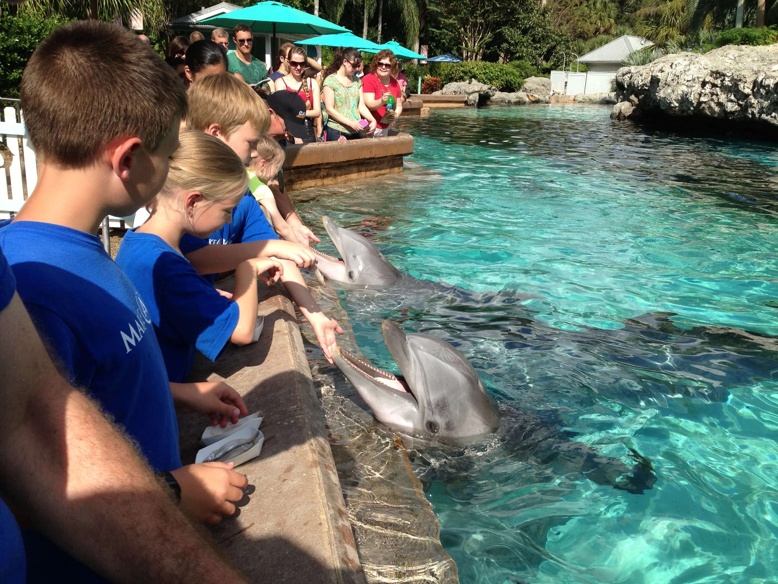 Hannah, 10  Life- threatening heart condition  Wish: To go to Florida and swim with the dolphins 