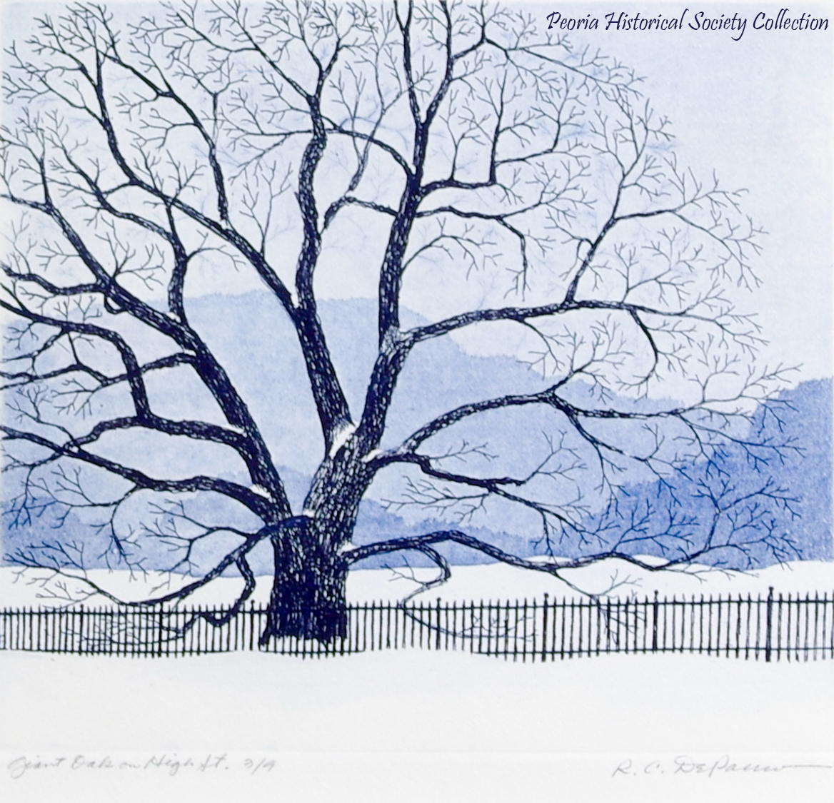Giant Oak